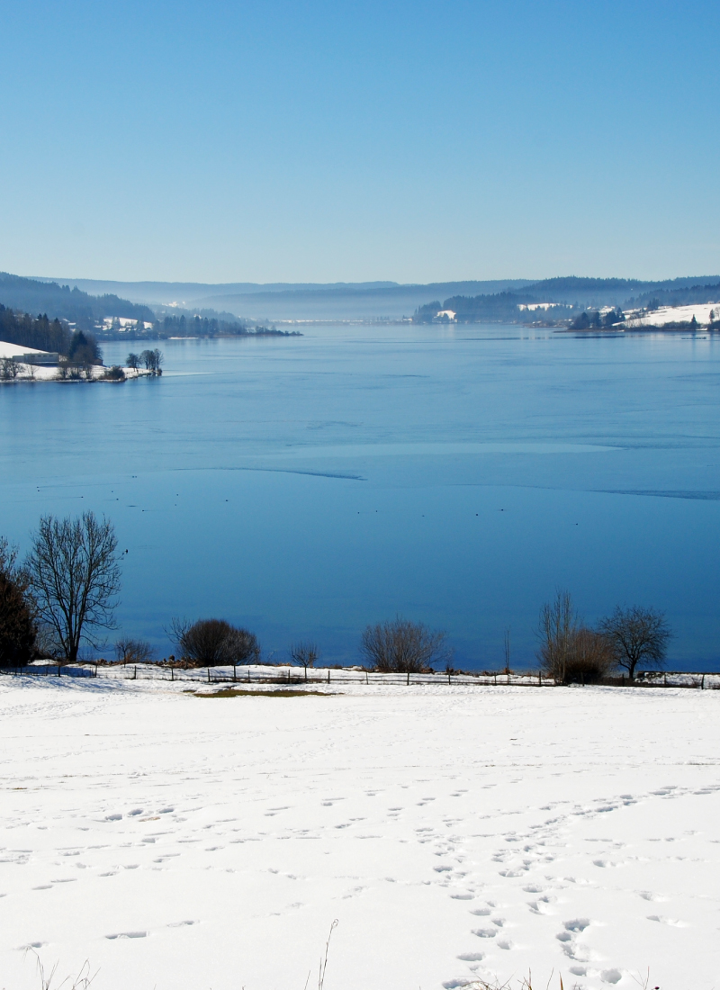 Paysage Jura