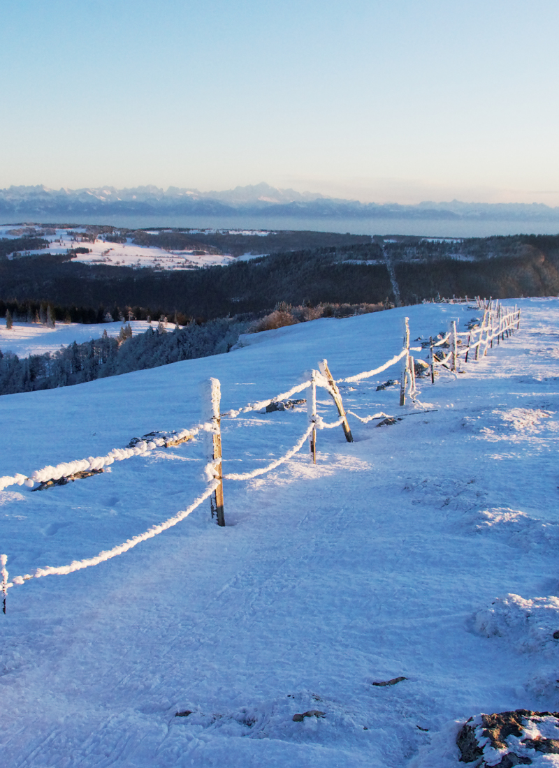 Paysage Jura