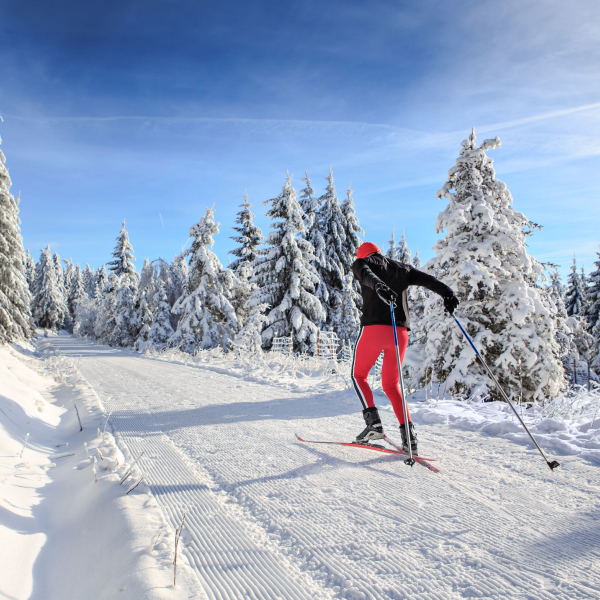 Ski de fond