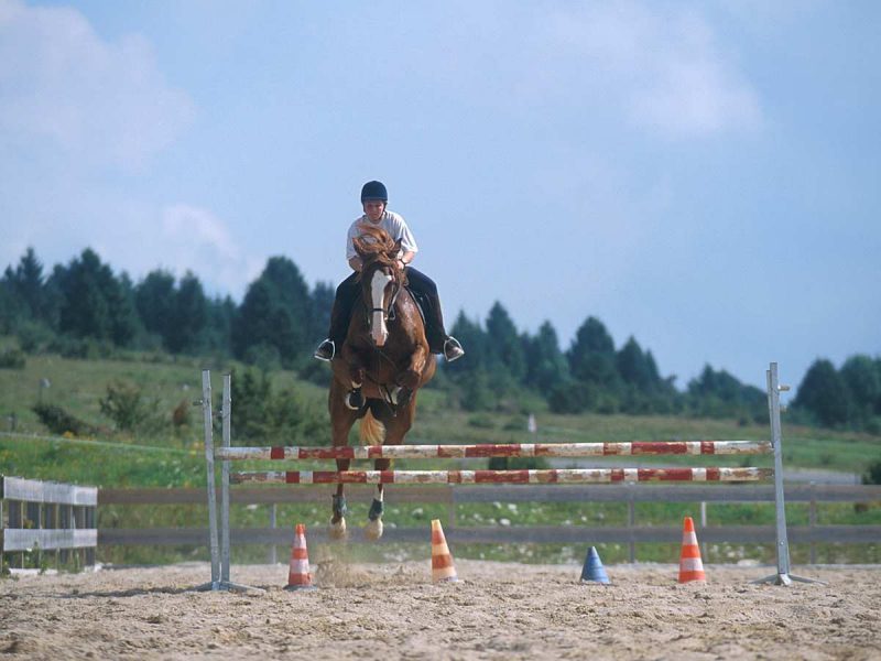 concours6-800x600